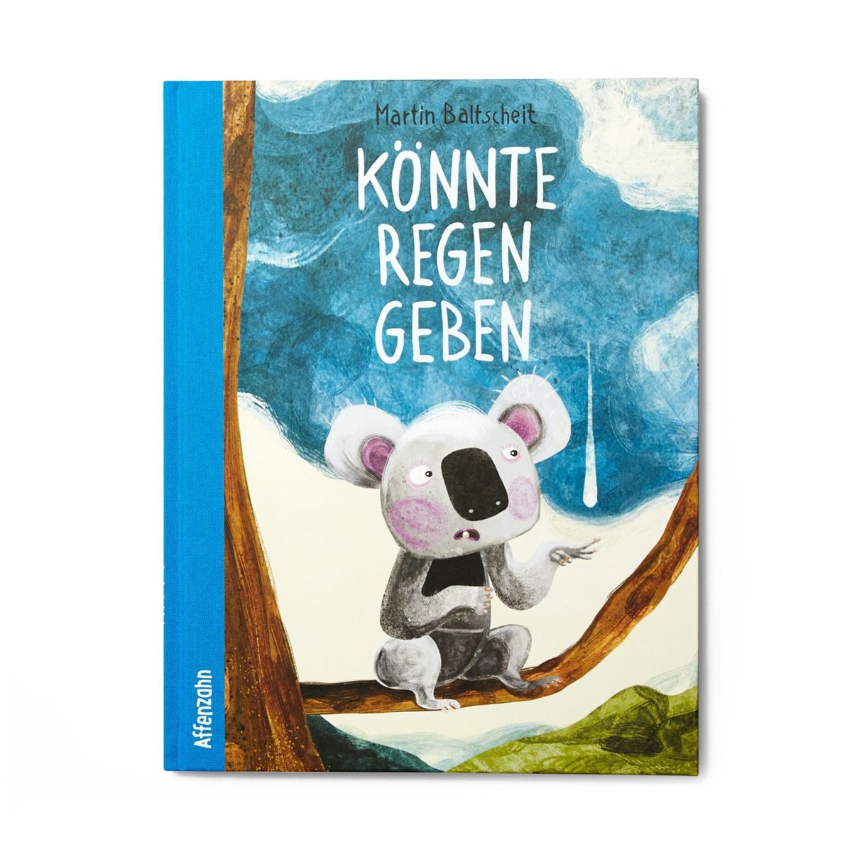 Affenzahn Bilderbuch "Könnte Regen geben