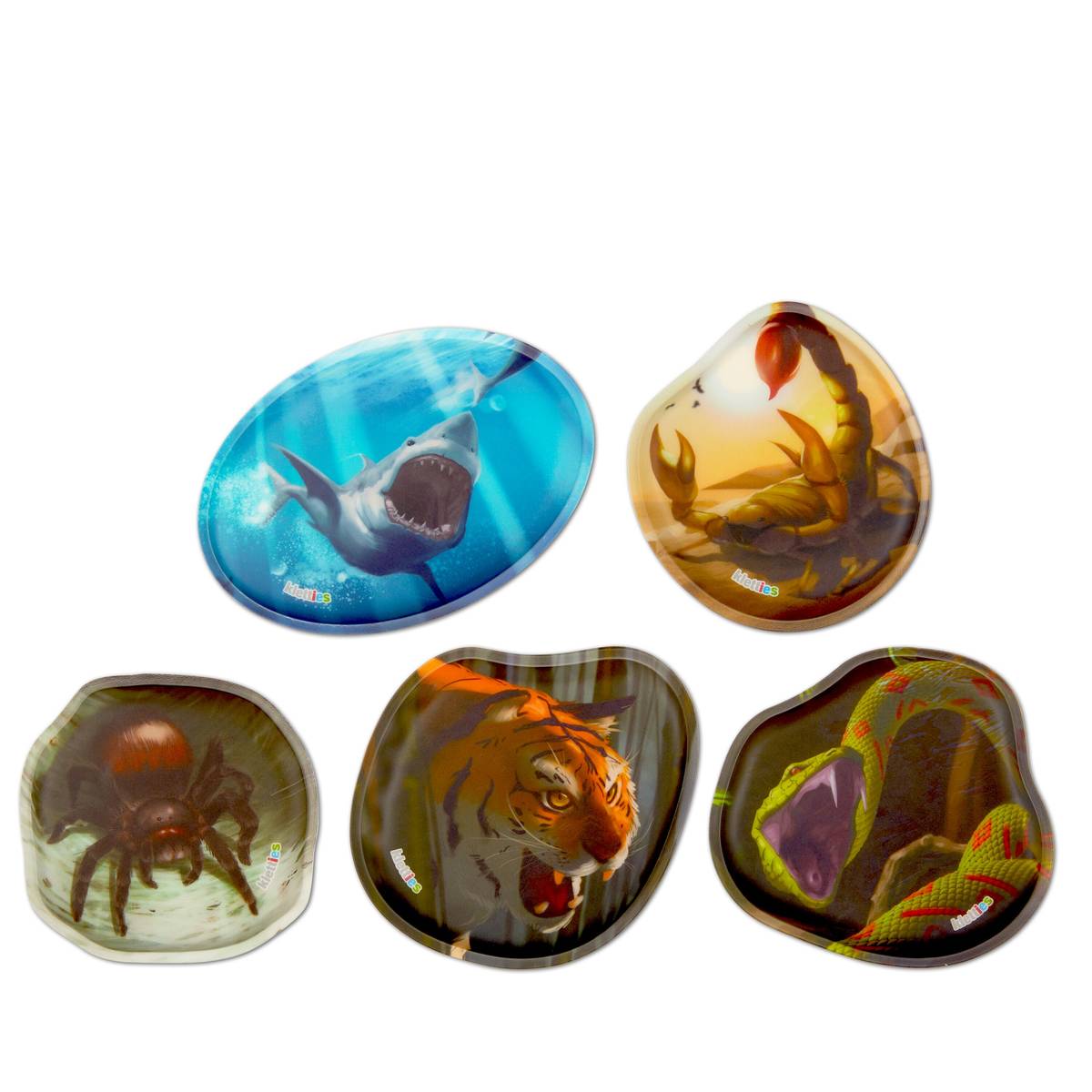 Ergobag Kontur-Kletties-Set 5-tlg. Gefährliche Tiere