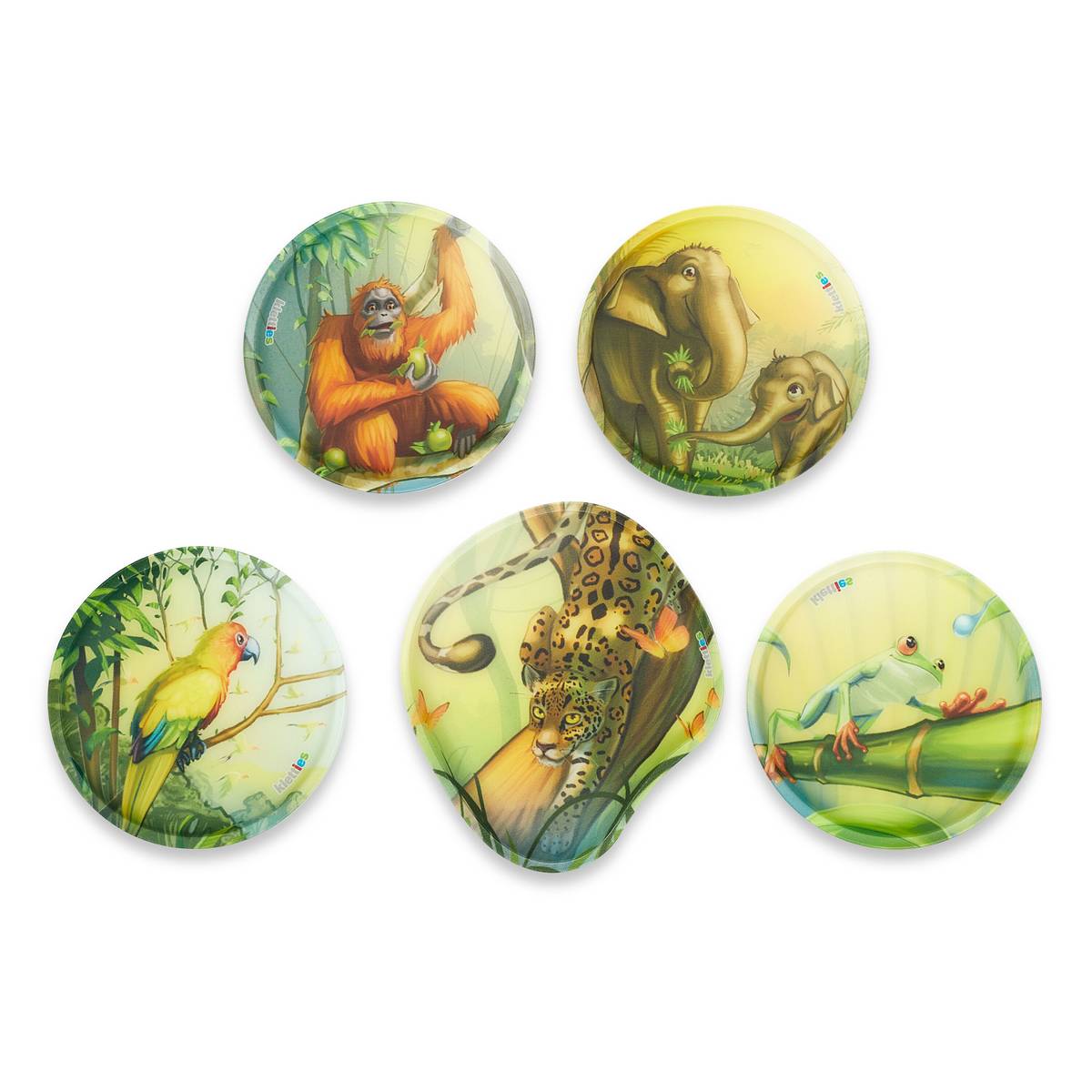 Ergobag Cubo 5-tlg. Set EntdeckBär Special Edition