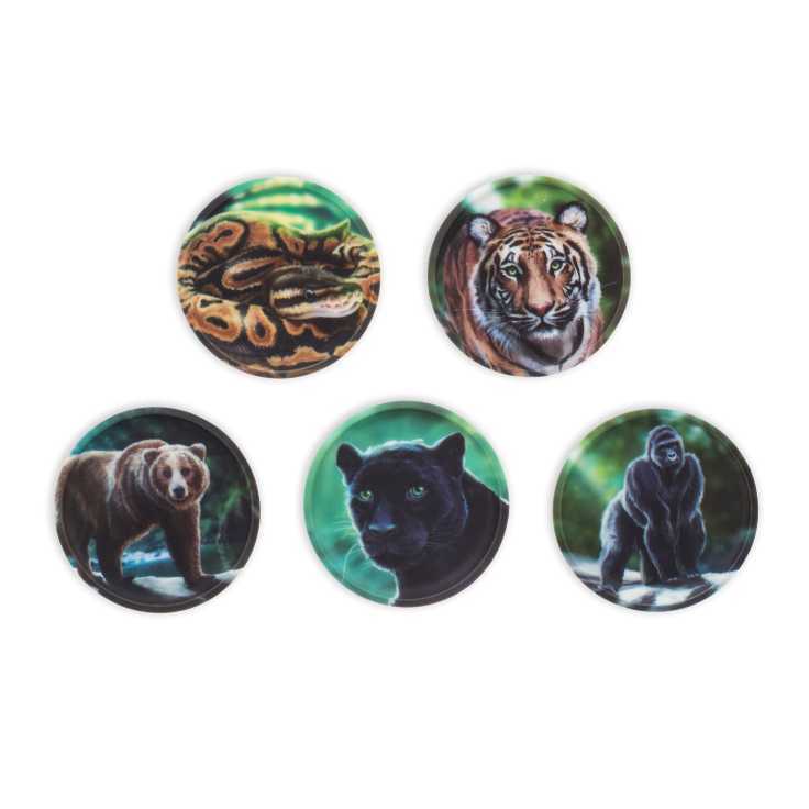 Ergobag Klettie-Set Dschungel 5-tlg.