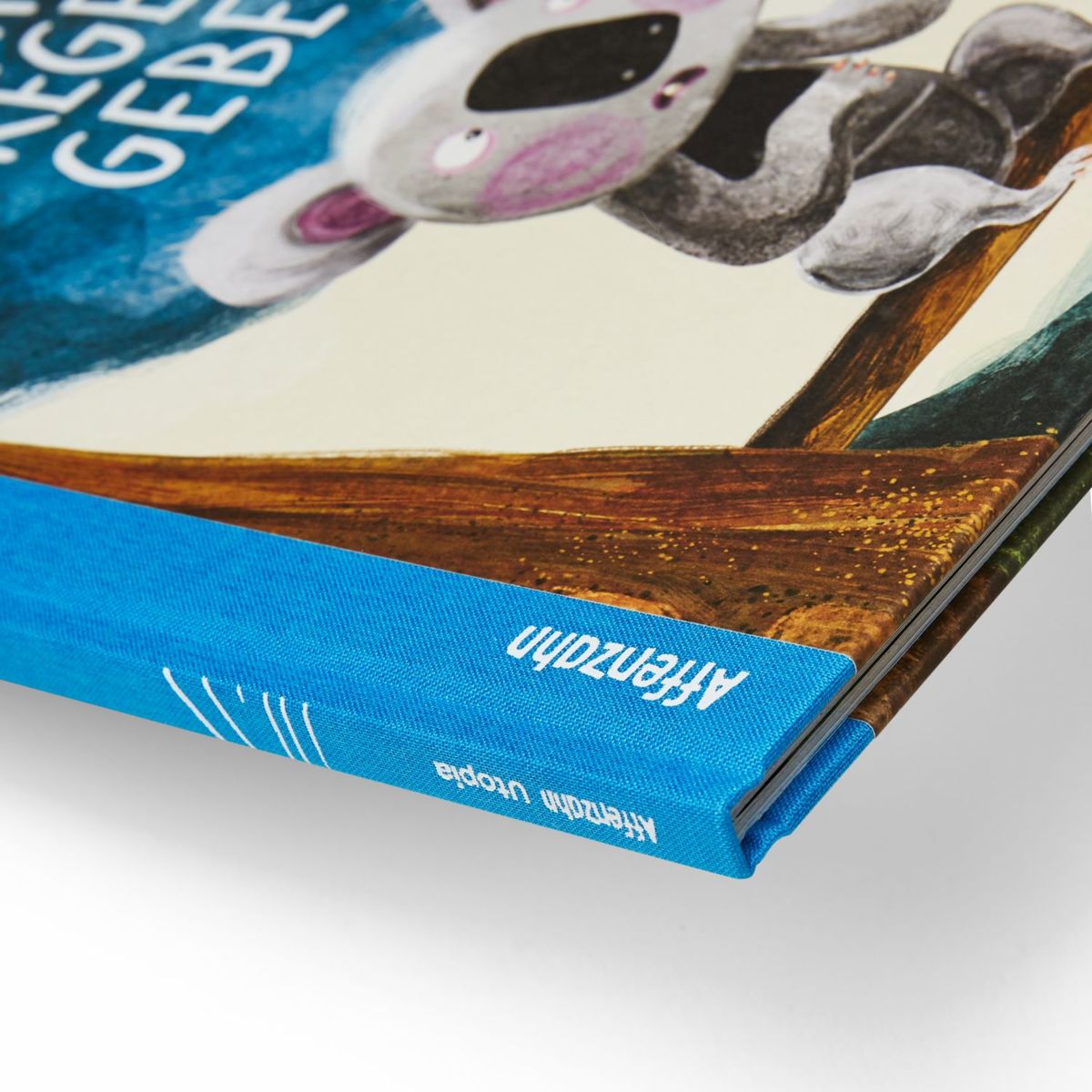 Affenzahn Bilderbuch "Könnte Regen geben