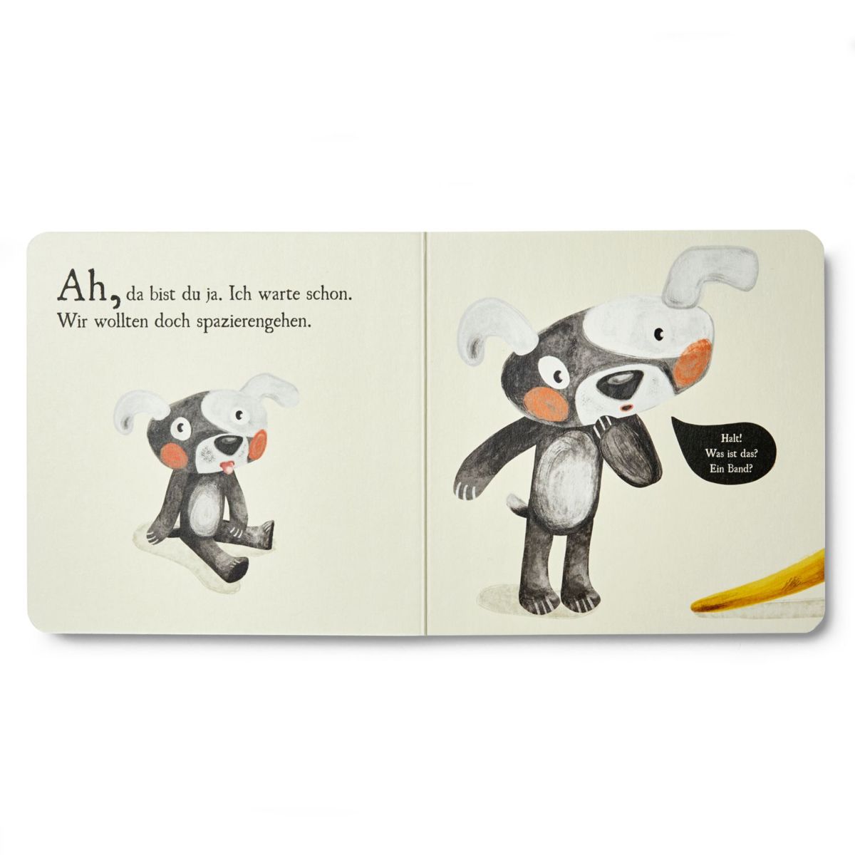 Affenzahn Pappbuch "Nanu?"